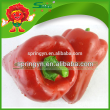 CHINESE FRESH SWEET BELL PEPPER FOR SALE